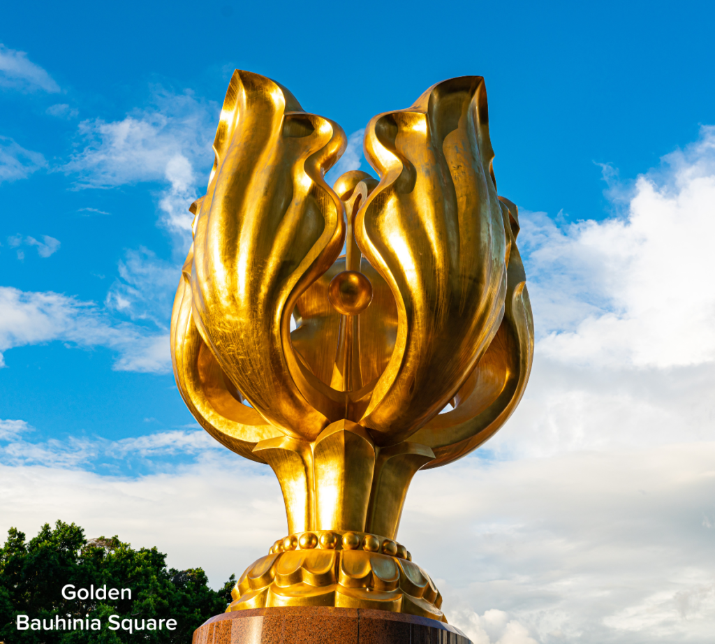 Golden Bauhinia Square