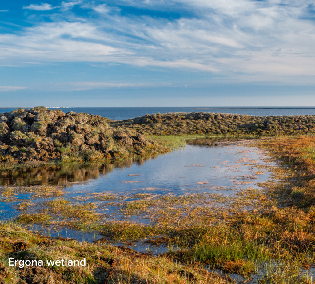 Ergona wetland